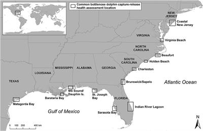 Health Assessments of Common Bottlenose Dolphins (Tursiops truncatus): Past, Present, and Potential Conservation Applications